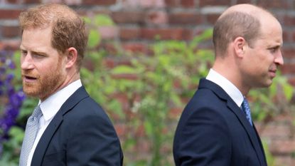 Britain's Prince Harry, Duke of Sussex (L) and Britain's Prince William, Duke of Cambridge attend the unveiling of a statue of their mother, Princess Diana at The Sunken Garden in Kensington Palace, London on July 1, 2021, which would have been her 60th birthday. - Princes William and Harry set aside their differences on Thursday to unveil a new statue of their mother, Princess Diana, on what would have been her 60th birthday.
