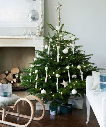 Christmas tree trends: our pick of the 20 best looks this holiday season