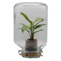 Pikaplant Jar|£59 from PAD Lifestyle