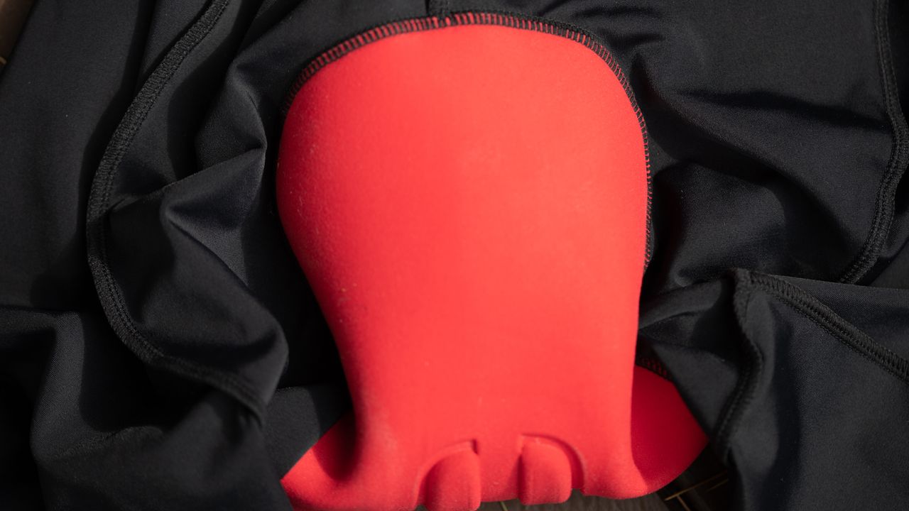 The Black Bibs front of chamois