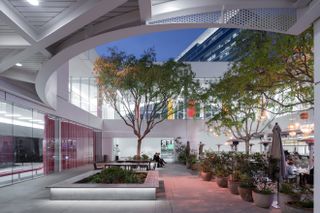 Exterior view of the Hammer Museum