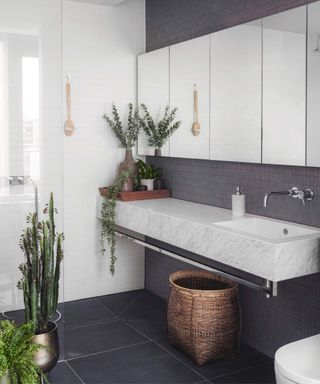 A black and white bathroom with a selection of houseplants on the floor and counter.