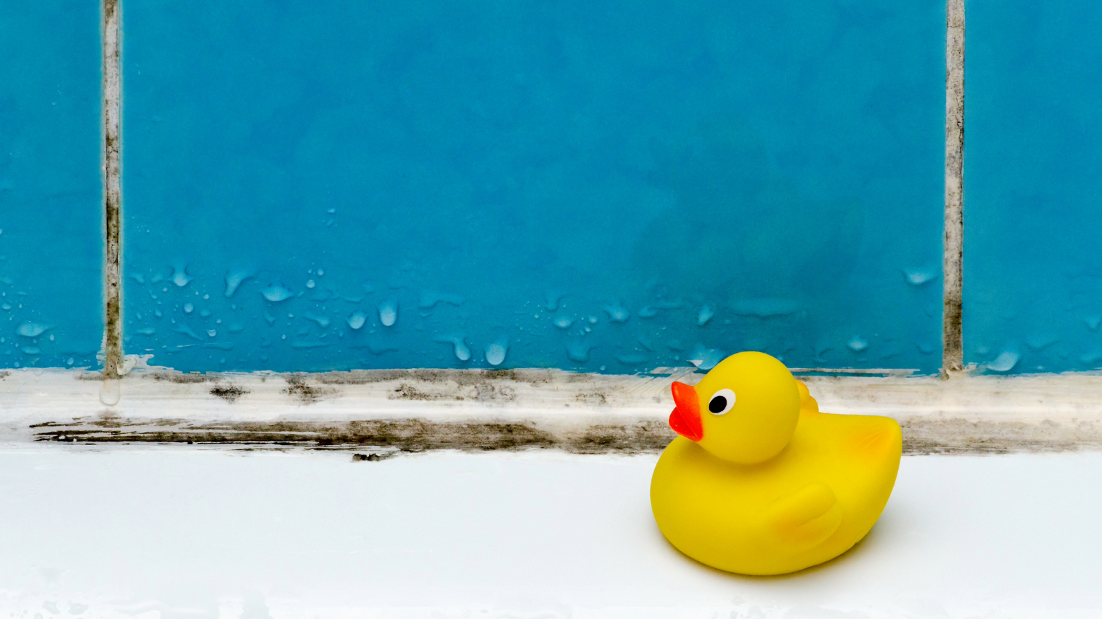 Rubber duck in front of mould on tiles