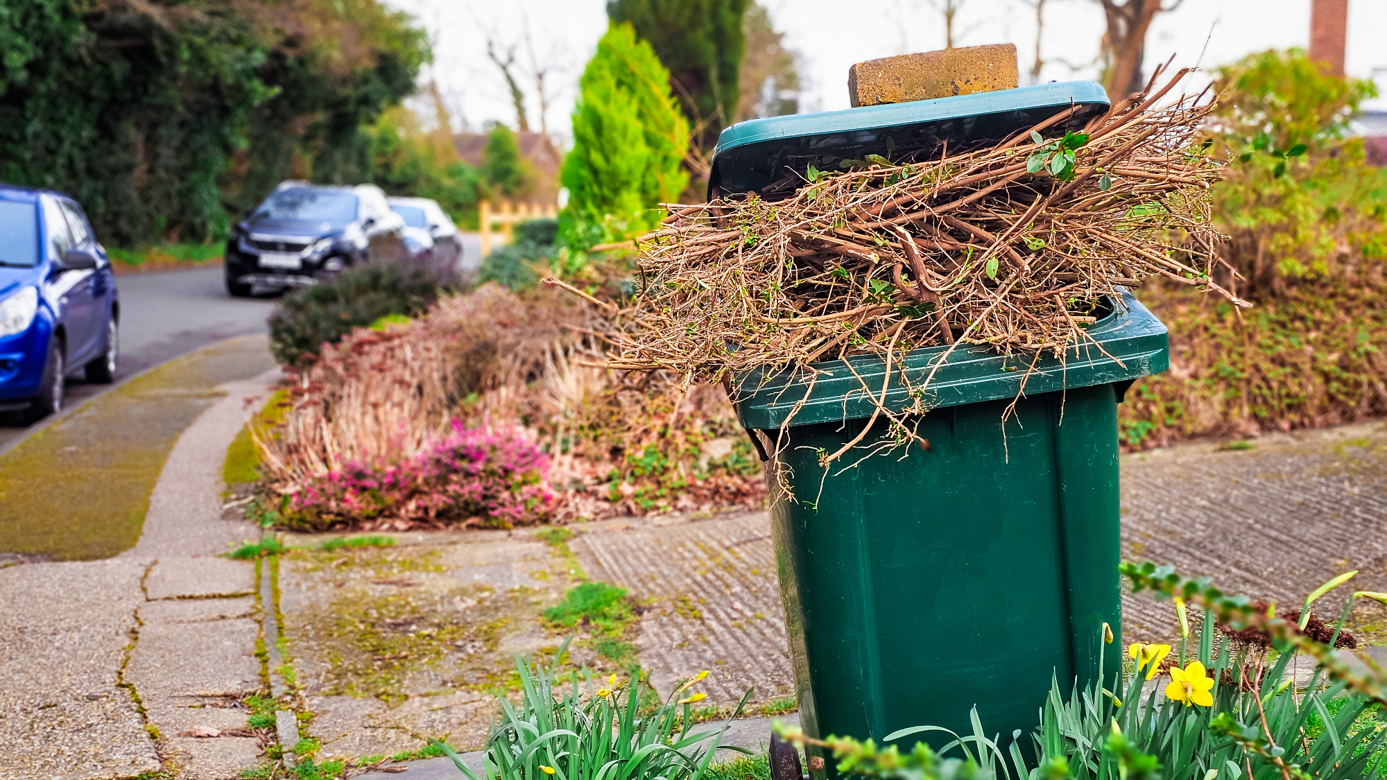 trash can full of yard waste on the curb