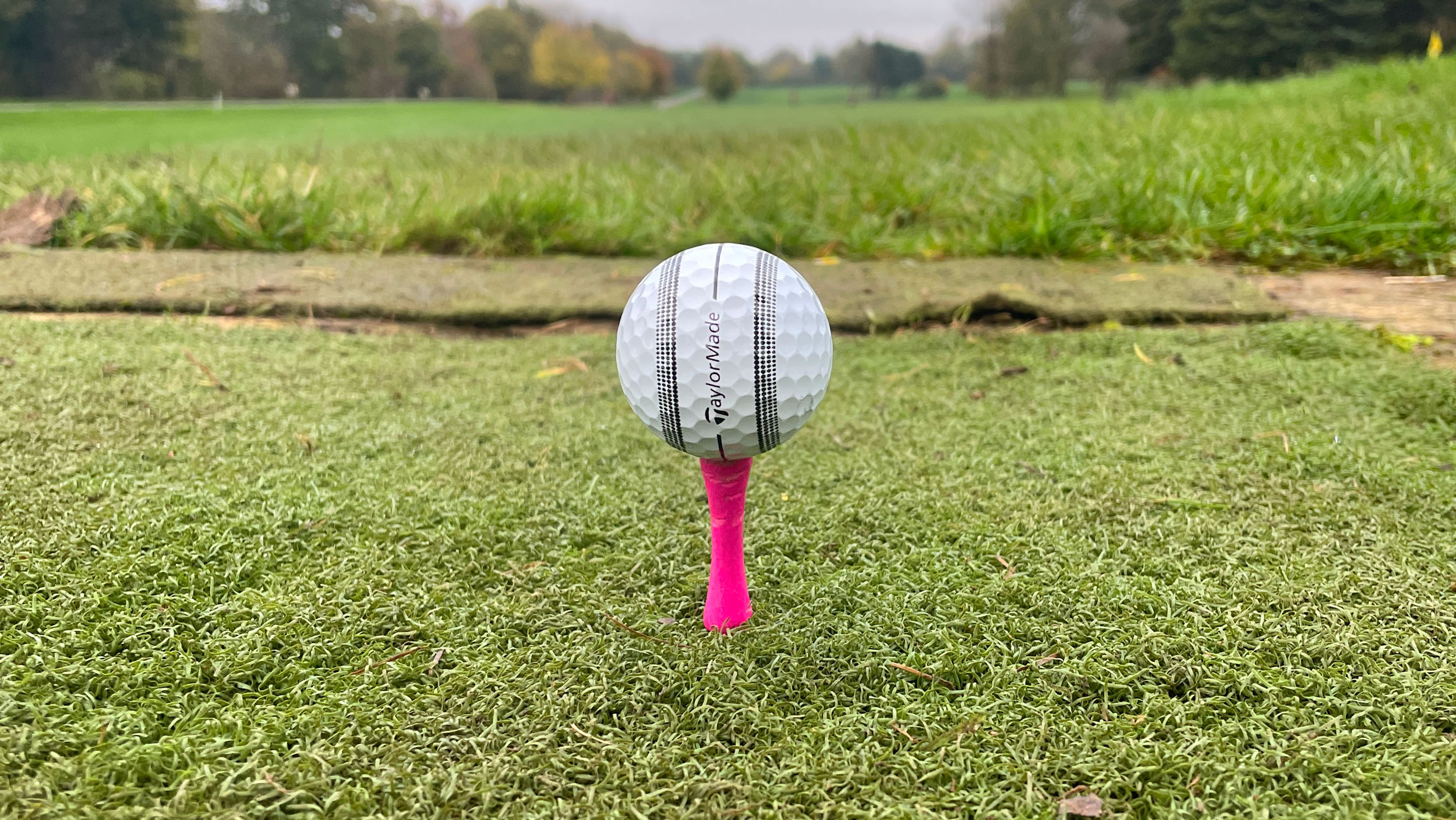 TaylorMade 2024 TP5 Stripe Golf Ball