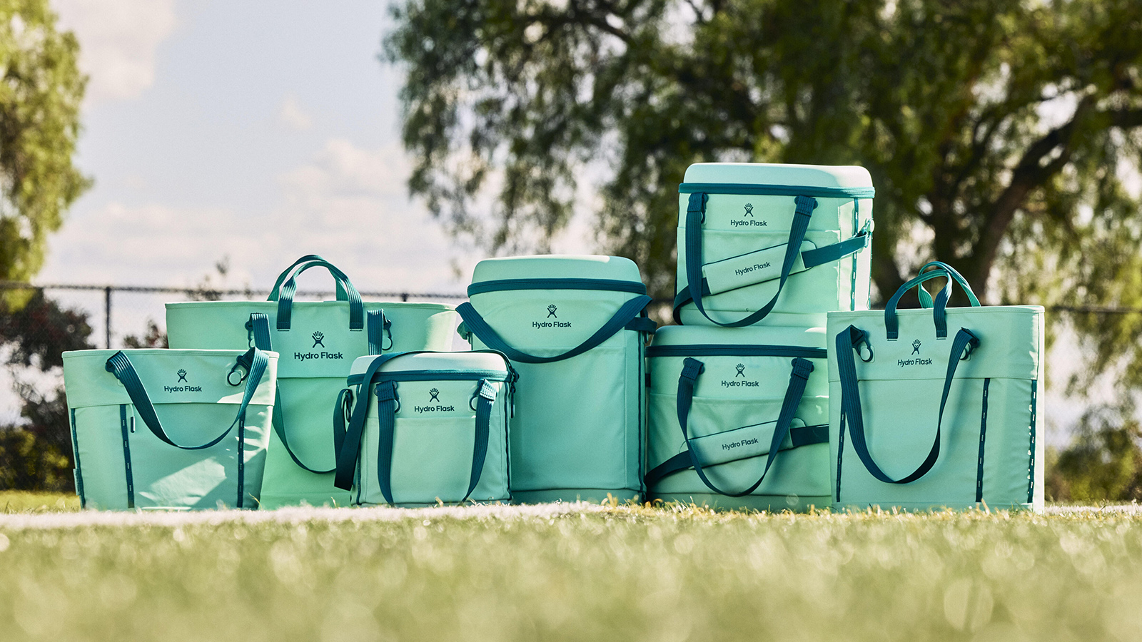 Hydro Flask Carryout Cooler Collection