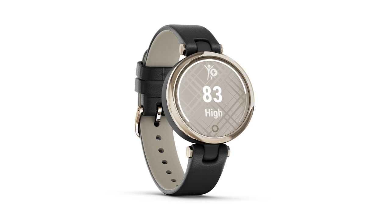 Garmin Lily price release date