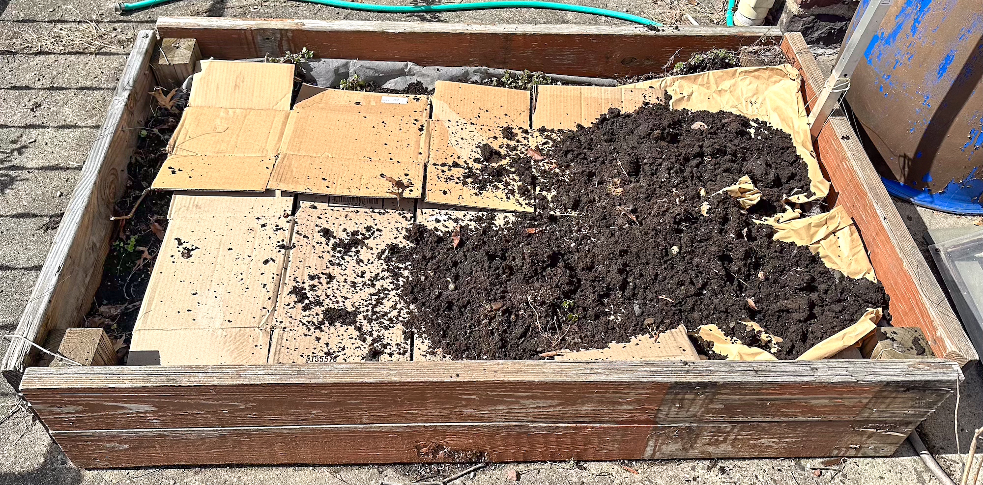 cardboard boxes in a garden bed