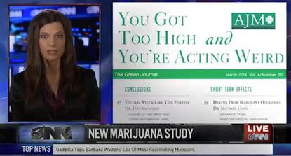The Onion's pitch-perfect marijuana study newscast gets inside your head