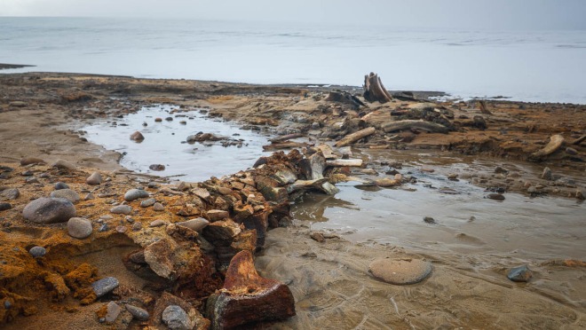 Whale bones lie on the edge of an island.
