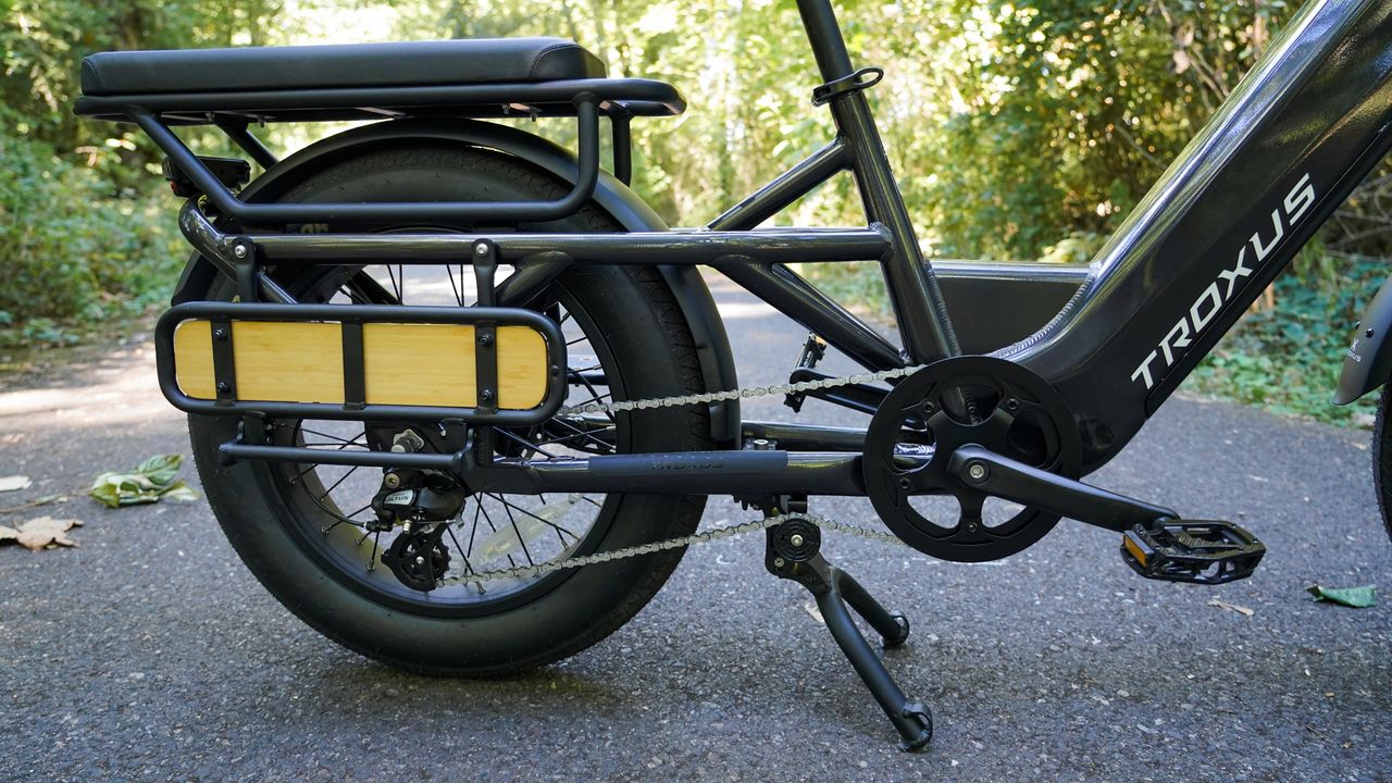 Troxus Lynx Cargo E-Bike
