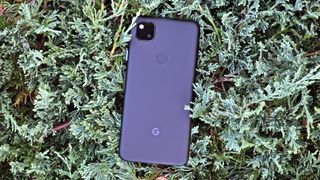 google pixel 4a laying facedown in a bush