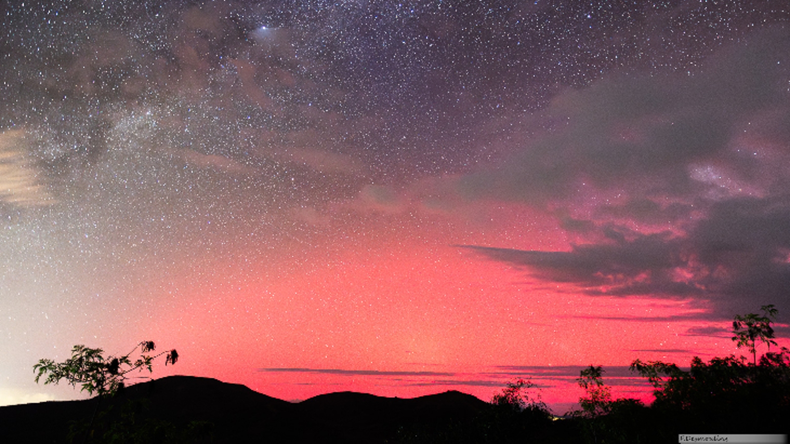 Aurora merah muda di langit malam di atas hutan