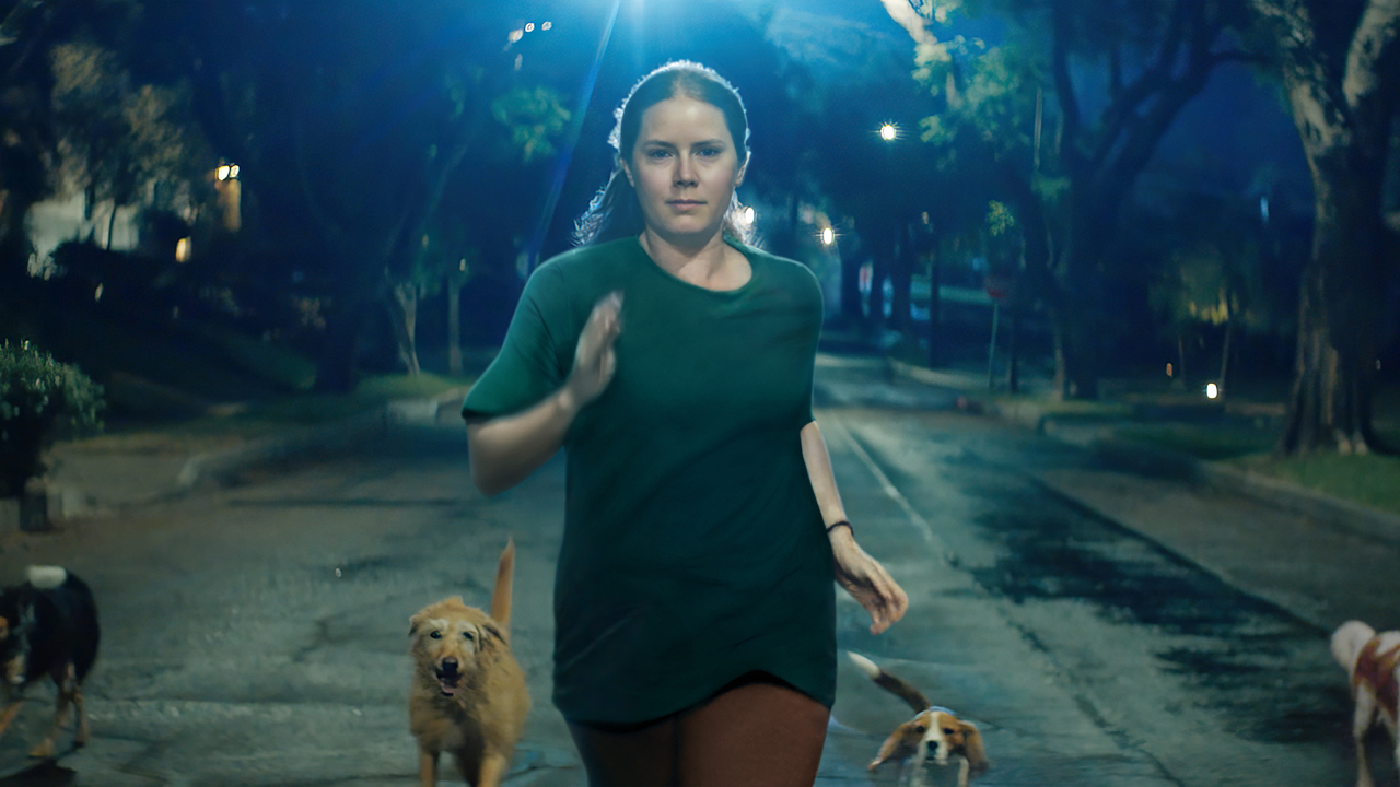 Amy Adams sorri enquanto corre por uma rua suburbana com uma matilha de cães a seguindo em Nightbitch.