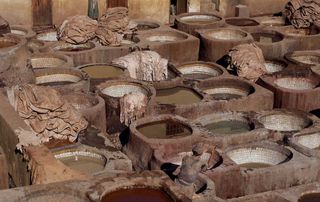 Fez’s tanneries
