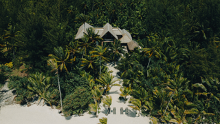 Aerial shot of The Brando villa surrounded by trees