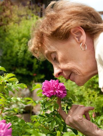 Your Sense of Smell Could Predict When You&rsquo;ll Die | Live Science