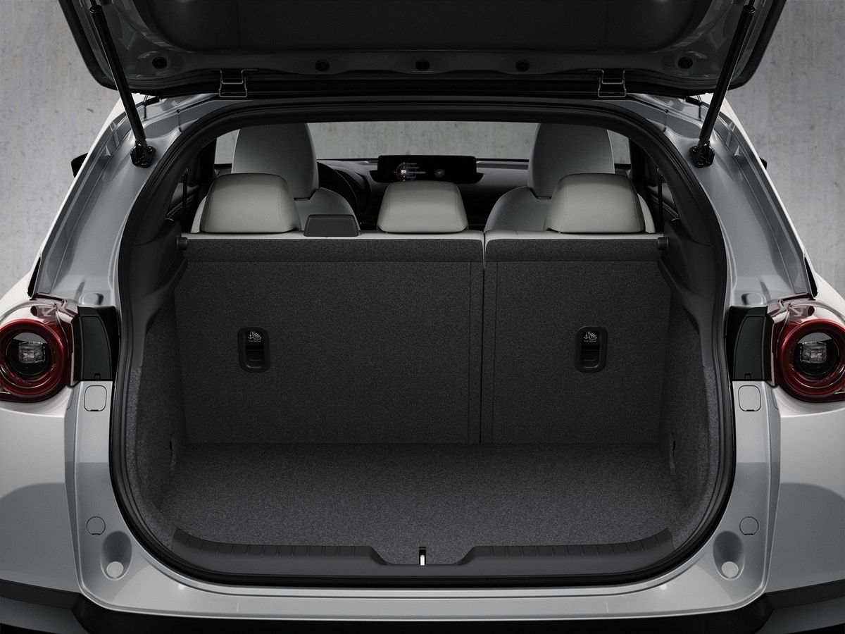 Mazda MX-30 Exterior and Interior Design