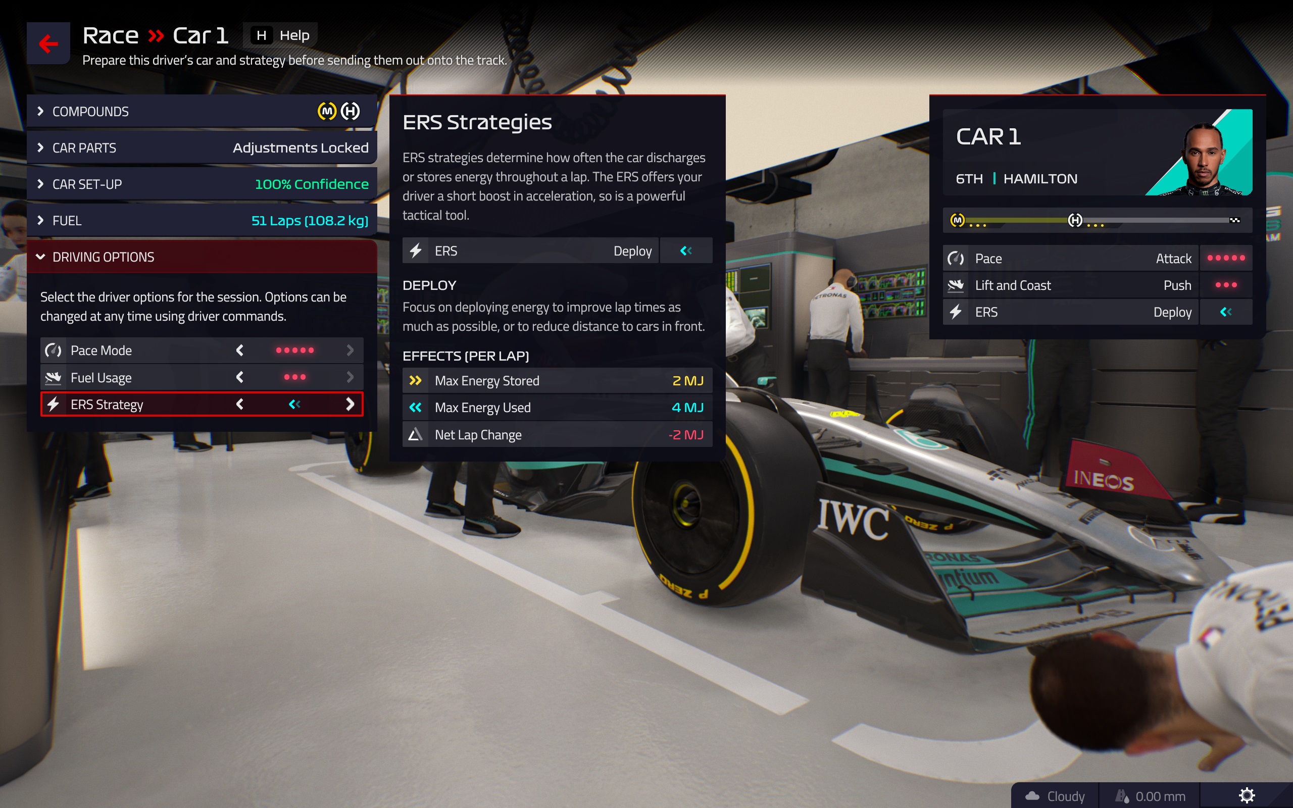 f1 manager driver settings