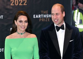 Prince William has spearheaded the Earthshot Prize, celebrating and encouraging solutions to climate concerns