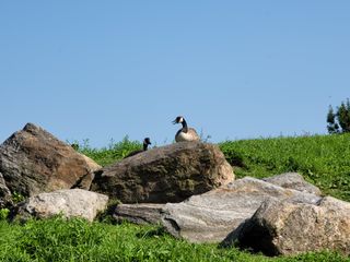 Samsung Galaxy Note 20 Ultra camera roll