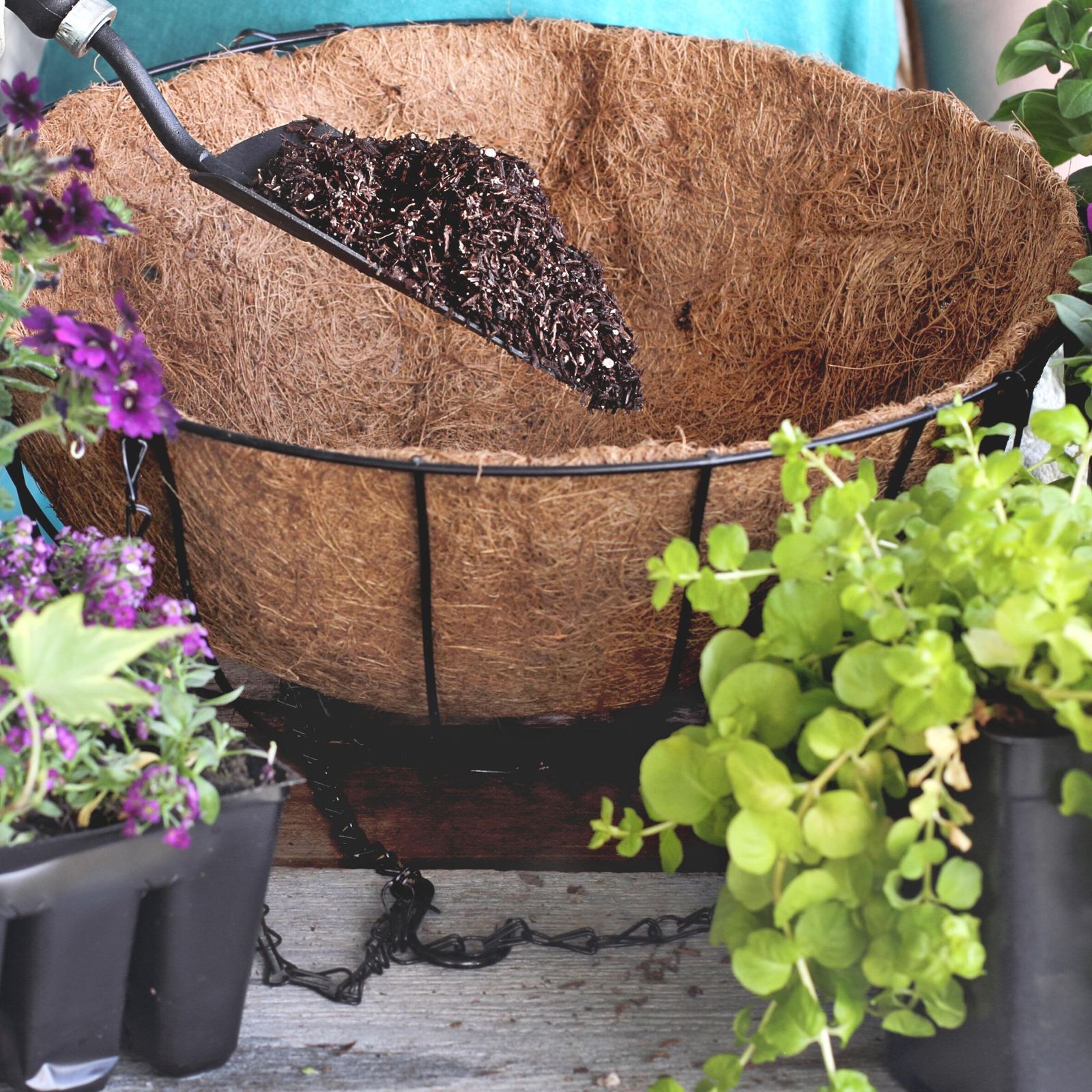 How to plant a hanging basket an easy guide Ideal Home