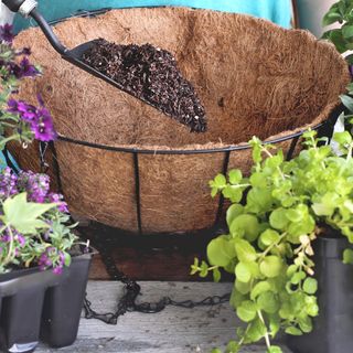 a hanging basket surrounded by potted plants with trowel containing compost above the coir liner