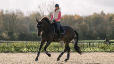 Laura Tomlinson preparing to ride a downward transition from canter to trot
