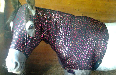 Her owner adapted a hood to help to keep the wound clean