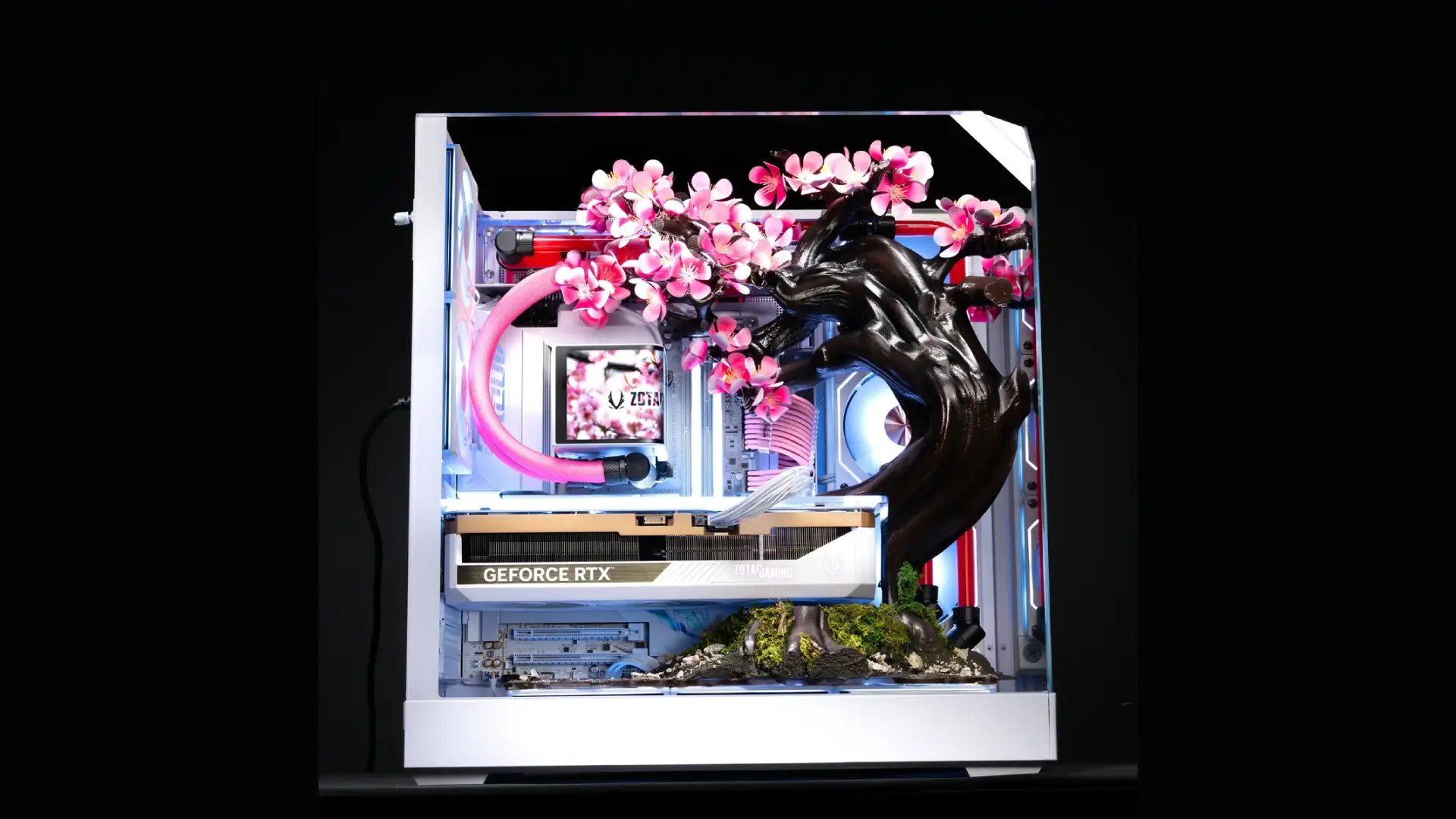 Aftershock PC Cherry Bloom rig