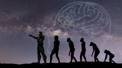 drawing of the evolution of humans