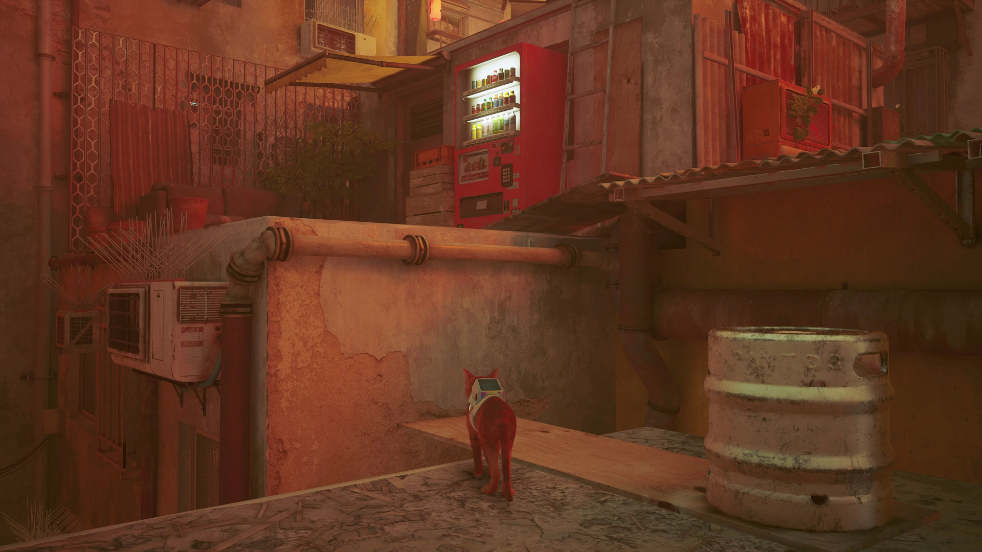 Stray energy drink locations