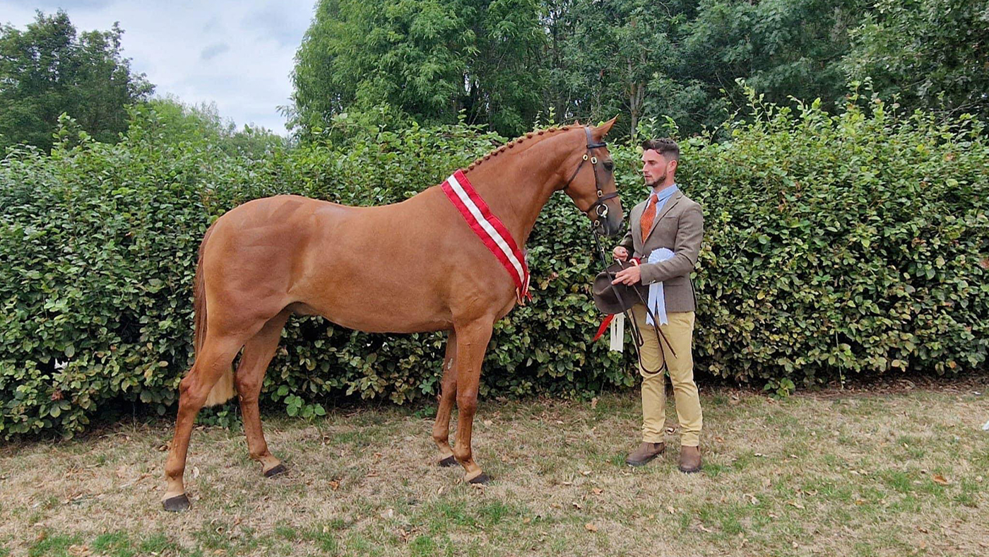 Shane Rogers led rotherwood firefox to qualify for the Horse of the Year Show at Stoneleigh in 2022