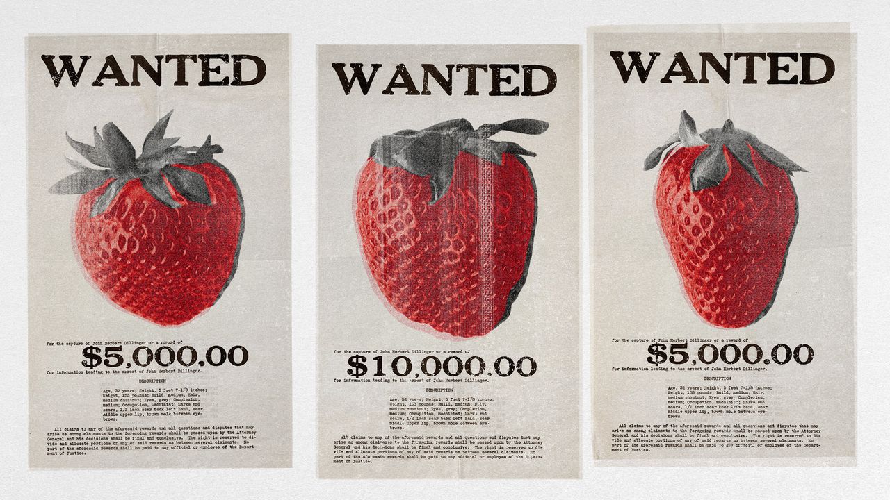 Photo collage of three strawberries on wanted posters 