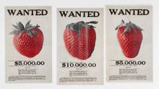 Photo collage of three strawberries on wanted posters 