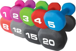 Fitness Gear Neoprene Dumbell Dicks