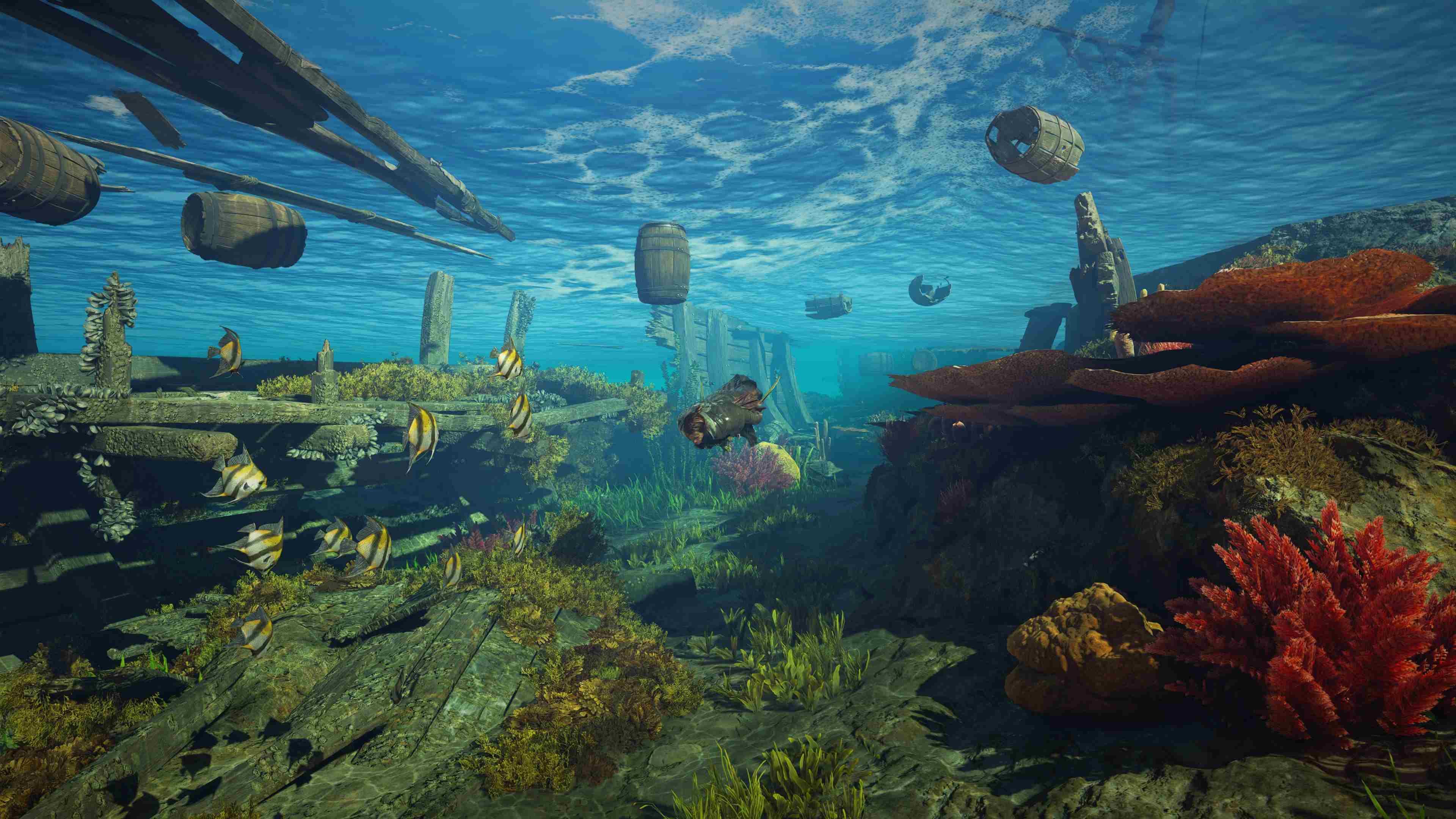 Assassins Creed Black Flag Resynced gameplay screenshot of underwater gameplay.