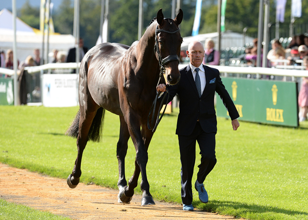 Andrew Hoy and Rutherglen