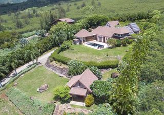 top view of house with green tree swimming pool and pathway with planted tree
