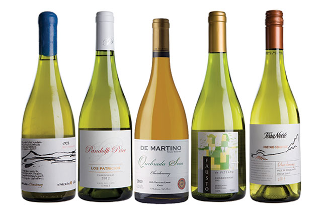 Chardonnay in South America