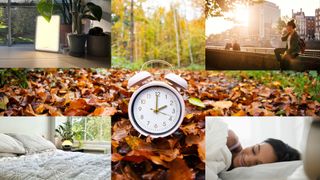 An alarm clock on the forest floor with fallen leaves around it and images showing different sleep hacks