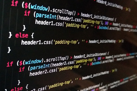 Write the Web: Coding Practice Comes Alive