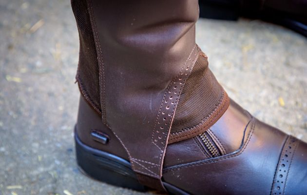 Dublin Evolution Rear Zip Half Chaps review