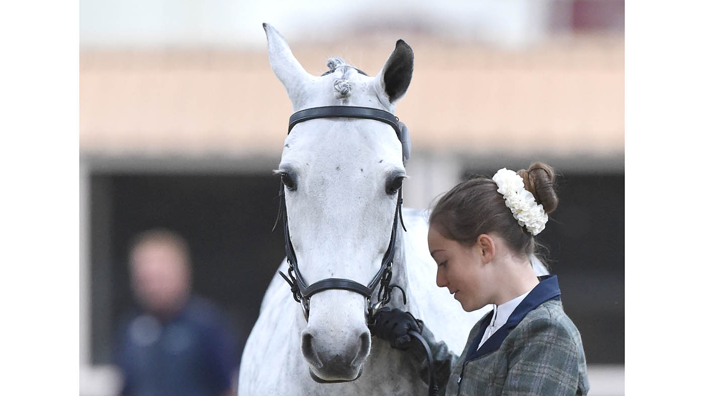 052 - Charlotte Cooke and Liscannor tulira 90cm winner H &amp;amp; H Festival of Eventing Sat 25th to Mon 27th May 2019 at Keysoe Spring Showing Show Monday 29th Aprill 2019 Keysoe (folder)