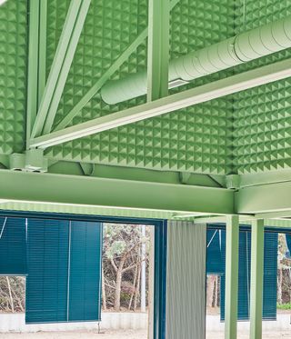 green and blue interior of Educan School for Dogs, Humans and Other Species, an example of animal architecture