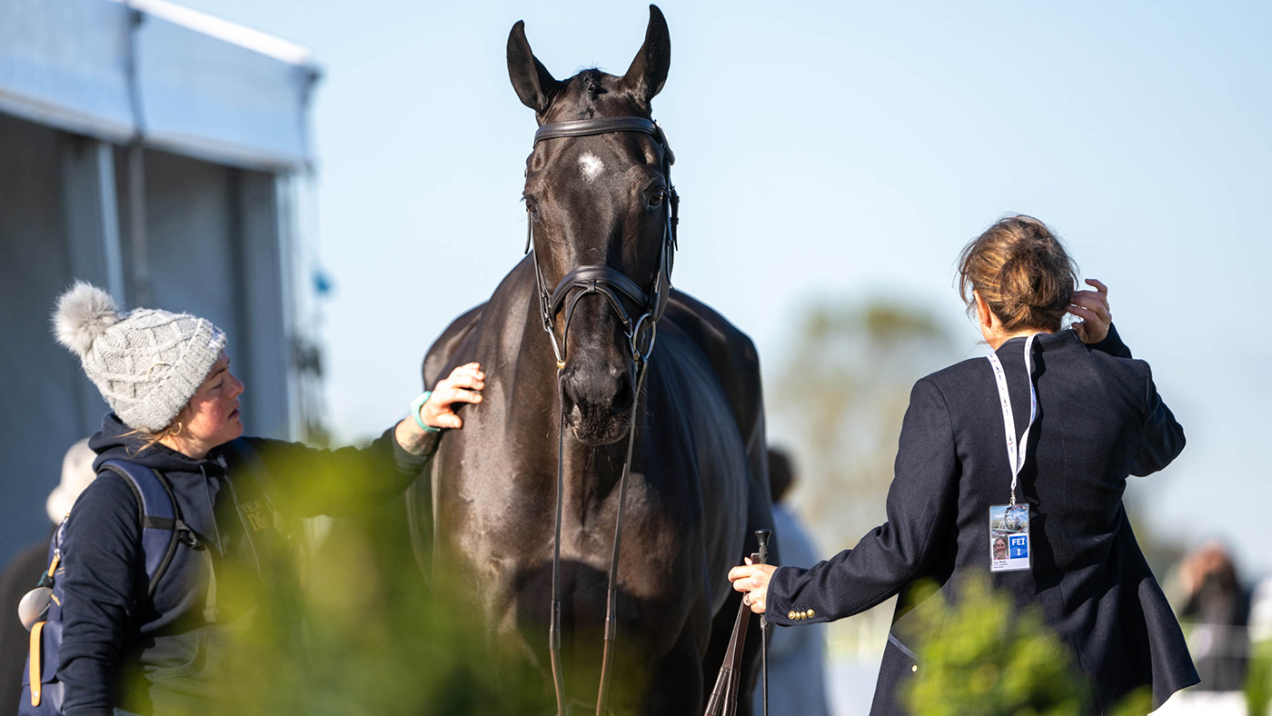 Maryland 5 Star final trot-up: Piggy March, Amy Phillips and Brookfield Cavalier Cruise