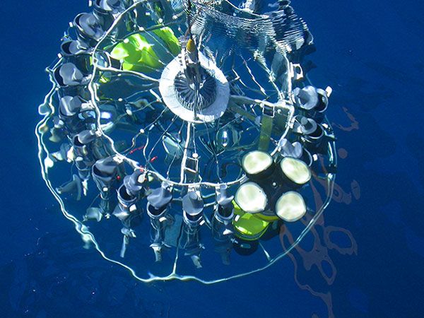 The bottles lining this depth profiler deploy at different depths to study changes in temperature and salinity in the ocean. 