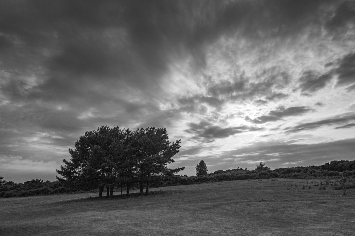 This raw image has been processed to recover lost shadow detail