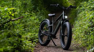 Rad Power Bikes RadRhino 6 Plus bike on a woodland trail