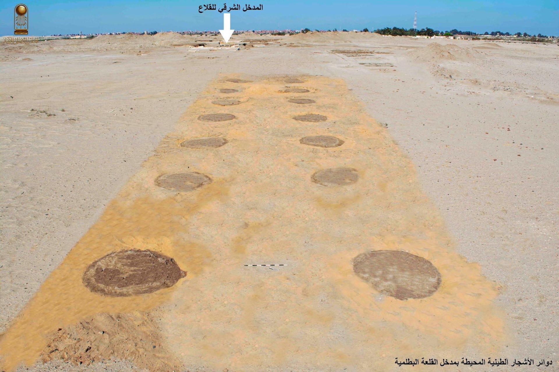 a photo showing where trees were planted in a desert landscape